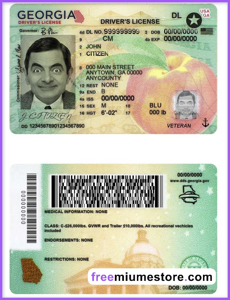 Georgia Driver license PSD Template